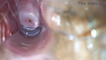Intense Orgasm Inside Wet Pussy