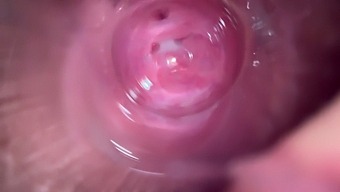 Intimate Close-Up Of A Young Girl'S Orgasmic Pleasure