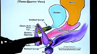 Intense Anal And Rough Sex In Squirting Tutorial 2